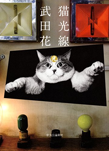 武田 花『猫光線』の装丁・表紙デザイン