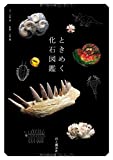 『ときめく化石図鑑 (Book for Discovery)』土屋 香