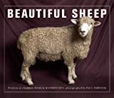 『Beautiful Sheep』Kathryn Dun