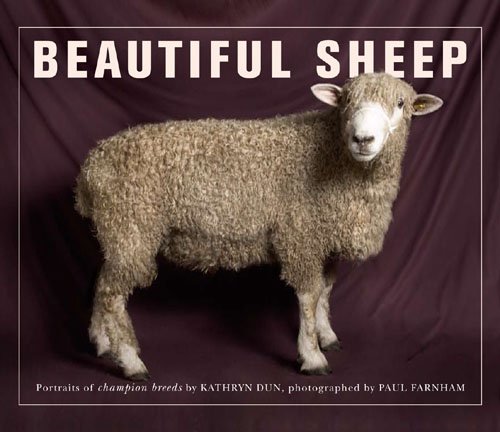 Kathryn Dun『Beautiful Sheep』の装丁・表紙デザイン