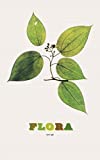 『Nick Knight: Flora』Sandra Knapp