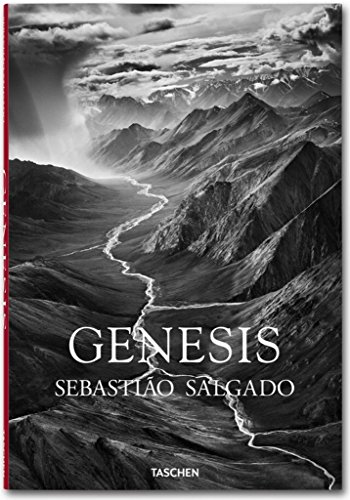 『Genesis』の装丁・表紙デザイン