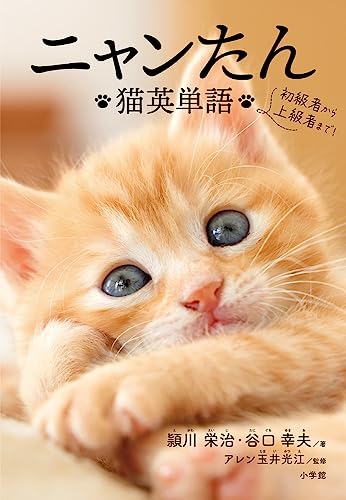 頴川 栄治『ニャンたん: 猫英単語』の装丁・表紙デザイン