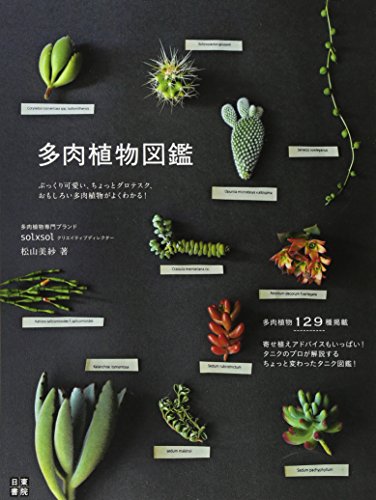 松山 美紗『多肉植物図鑑』の装丁・表紙デザイン