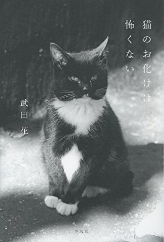 武田 花『猫のお化けは怖くない』の装丁・表紙デザイン