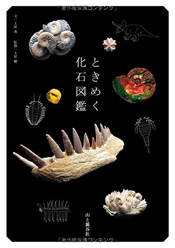 土屋 香『ときめく化石図鑑 (Book for Discovery)』の装丁・表紙デザイン