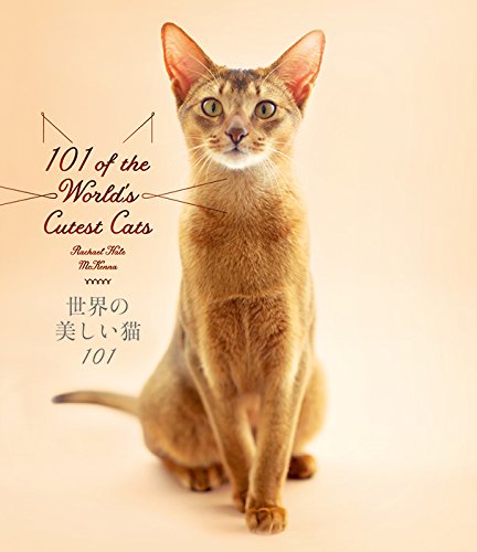 『世界の美しい猫101』の装丁・表紙デザイン