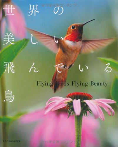 澤井聖一『世界の美しい飛んでいる鳥』の装丁・表紙デザイン