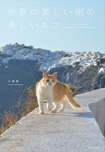 小林　希『世界の美しい街の美しいネコ』の装丁・表紙デザイン