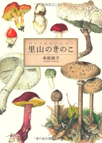 本田 尚子『里山のきのこ』の装丁・表紙デザイン